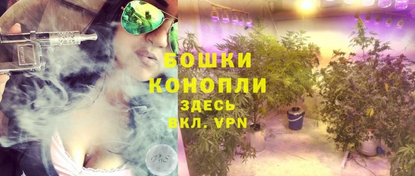 дмт Арсеньев