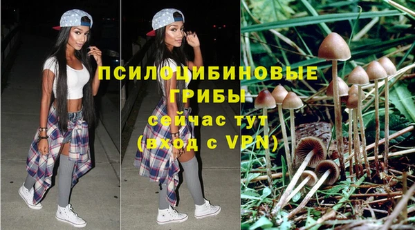 винт Алексеевка