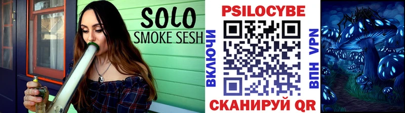 что такое наркотик  Ельня  Псилоцибиновые грибы Psilocybine cubensis 
